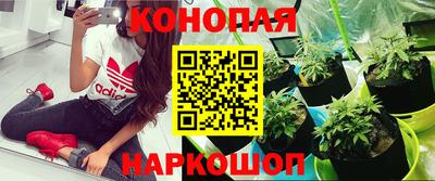сатива Бугуруслан