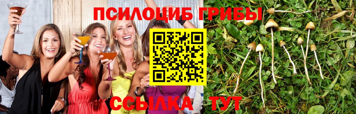 Галлюциногенные грибы ЛСД Жигулёвск