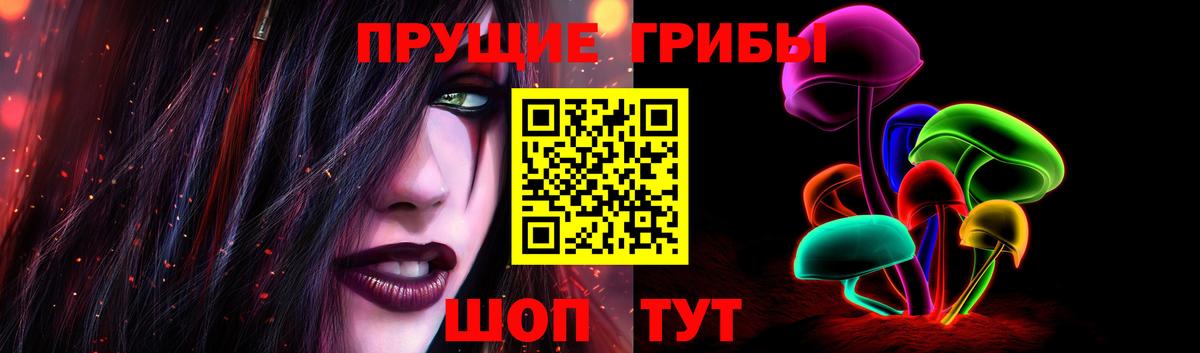 Псилоцибиновые грибы Psilocybe Жигулёвск