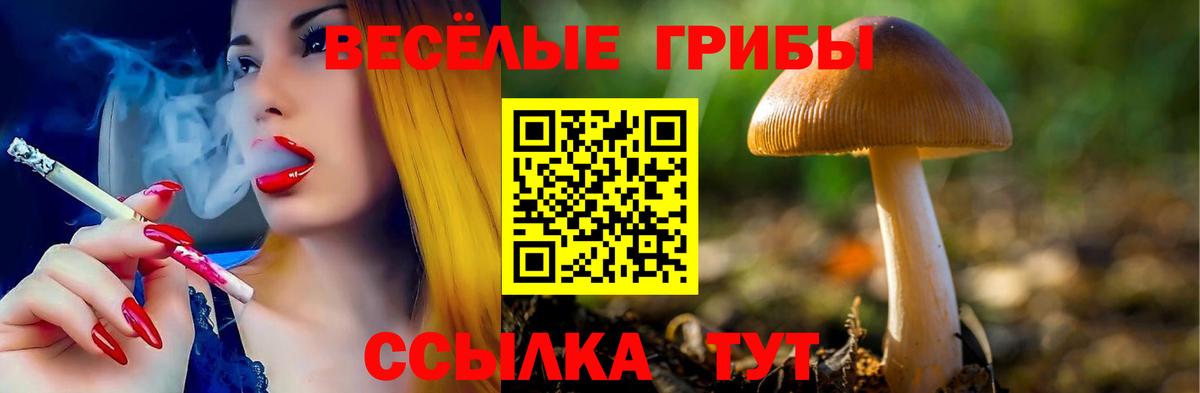 Галлюциногенные грибы Psilocybe  Вход с VPN  Галлюциногенные грибы мицелий  Жигулёвск 
